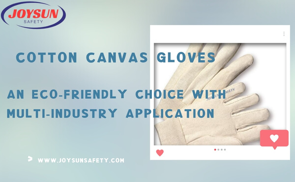 Cotton Canvas Gloves An Eco-Friendly Choice With Multi-Industry Application